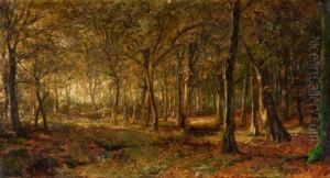 Sonniger Buchenwald by Karl Rodeck