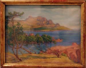 33 X 43 Cm, Gerahmt