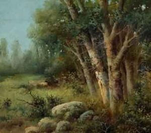 Paisaje - view 1
