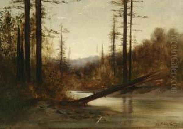 The Fallen Tree - view 1