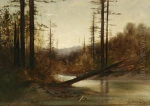The Fallen Tree by Alfred C. Rodriguez