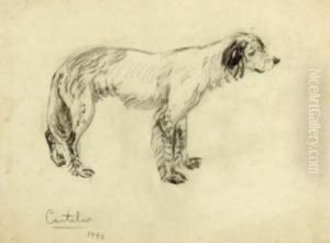 Perro by Alfonso Rodriguez Castelao