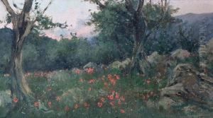 Alberi In Collina by Antonio Rodriguez Morey
