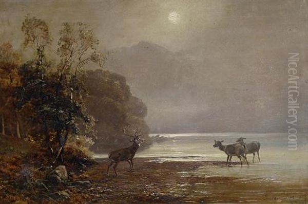 Deer By A Loch - view 1