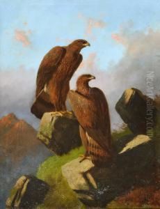 Two Golden Eagles Perched Upon Rocks by Robert Henry Roe