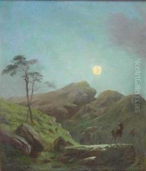 Deer By Moonlight - view 1