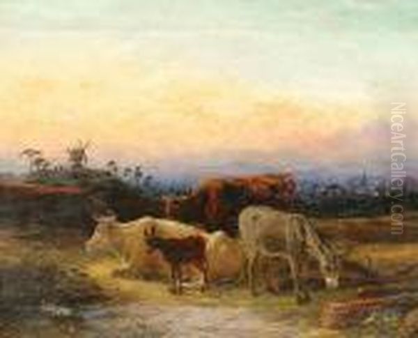Cattle And Donkeys At Sunset - view 1