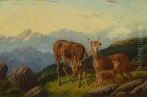 Scottish Highland Deer by Robert Henry Roe