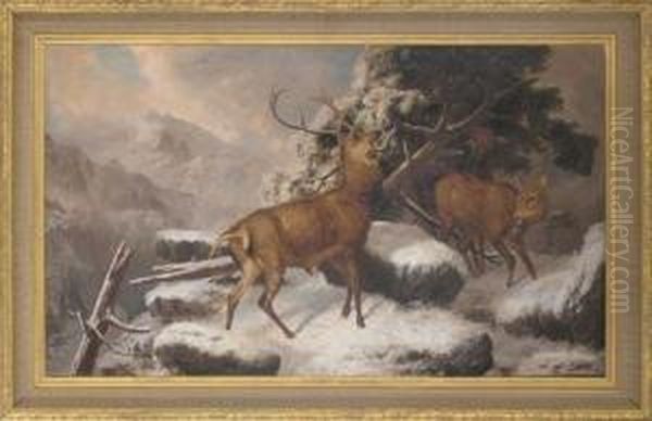 Deer In A Winter Landscape - view 1