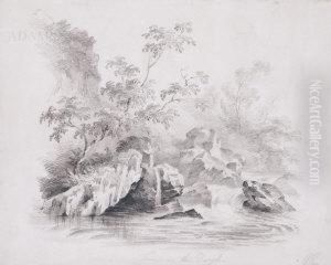 Scene In The Dargle by William Roe