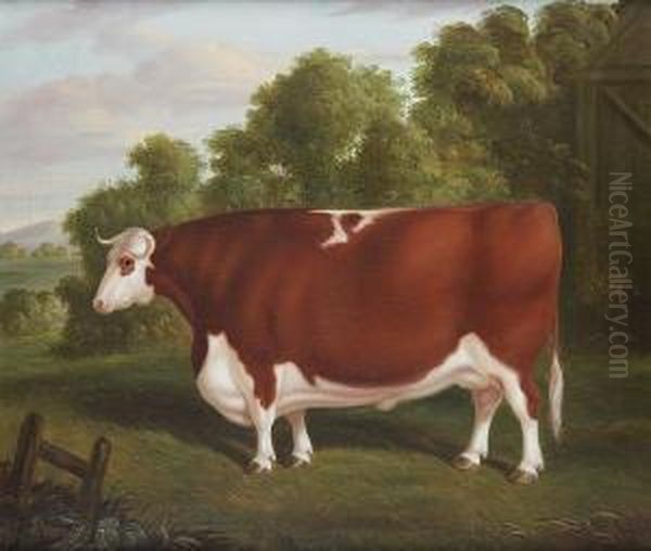 A Portrait Of A Prize Bull - view 1