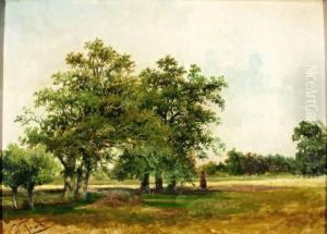 Boomrijk Landschap