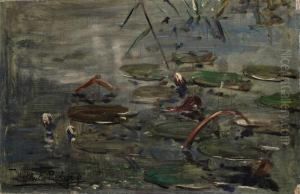 Waterlillies by Willem Roelofs