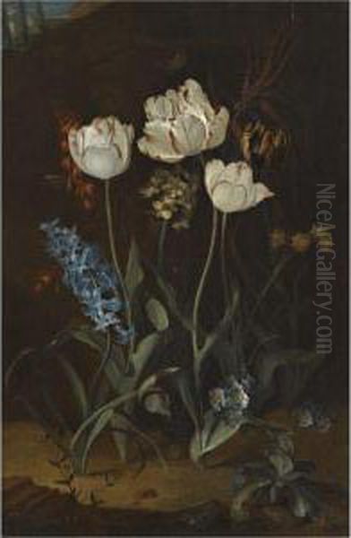Still Life With Tulips And Hyacinth - view 1