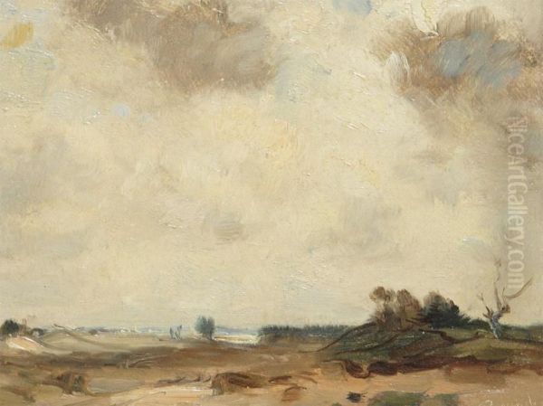 Moorland - view 1