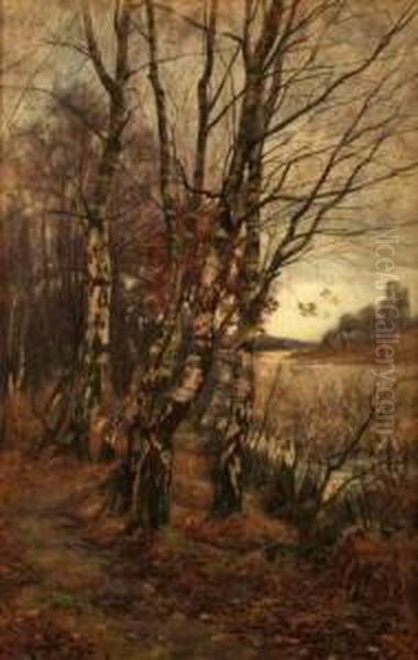 Birch Trees At Upper Pond Burnham - view 1