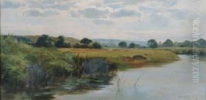 Cattle Grazing On The Banks Of A River Cattle Grazing On The Banks Of A River