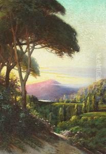A Marin Landscape