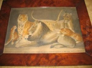 The Menagerie Of Van Amburgh