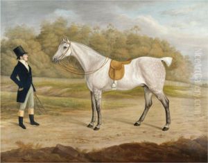 A Gentleman With A Grey Hunter