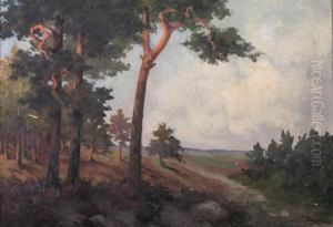 Wooded Landscape Wooded Landscape