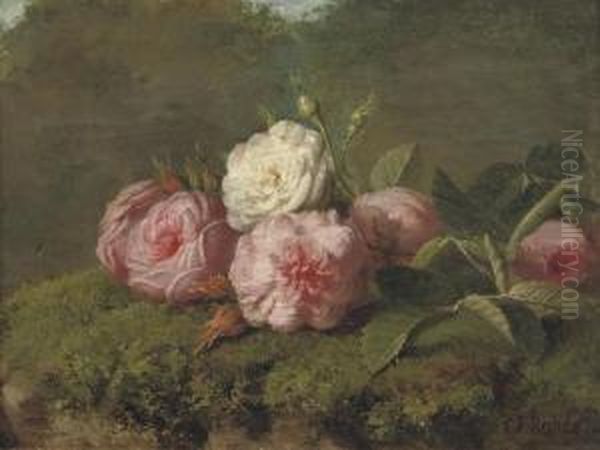 Pink And White Roses - view 1