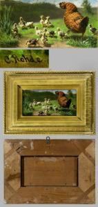 Henne Und Kuken In Sommerlicher Landschaft