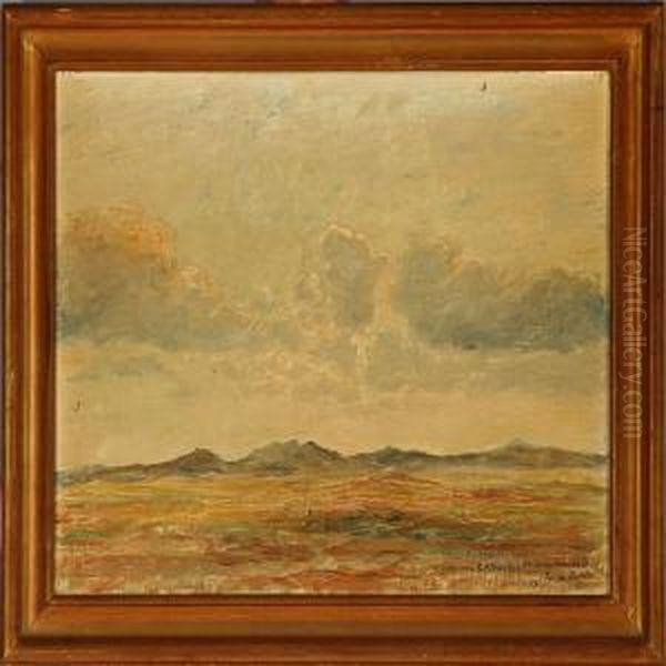 Landscape - view 1