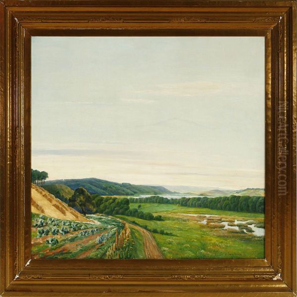 Danish Summer Landscape From The Silkeborg Lake Distritc - view 1