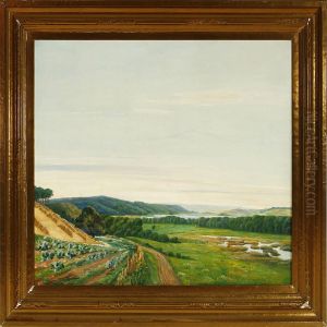 Danish Summer Landscape From The Silkeborg Lake Distritc