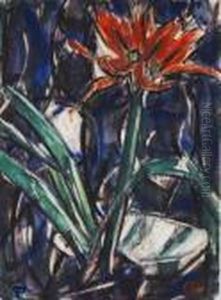 Amaryllis.
