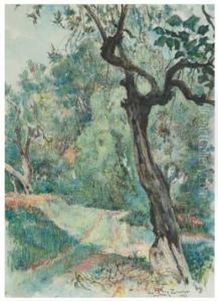 Bosque - view 1
