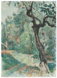 Bosque by Lluis Roig Ensenat