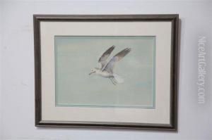 A Bird by Conrad Roland