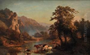 Late Afternoon, 
Newlands South Africa