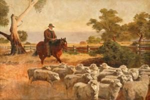 Sheep Muster by Charles Rolando