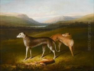 Irish Wolf Hounds In A Landscape