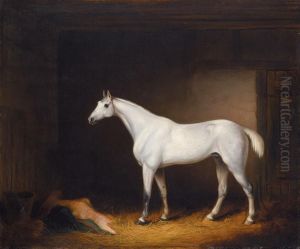 A Grey Racehorse In A Stable by Edmund Rolfe