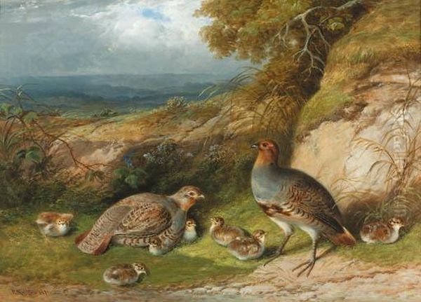 Partridge With Their Chicks In A Landscape - view 1
