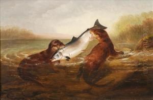 Otterstaking A Salmon