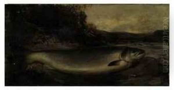 Salmon On A River Bank - view 1