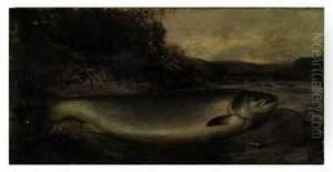 Salmon On A River Bank