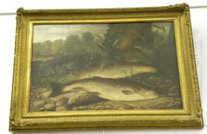 Salmon On A Riverbank