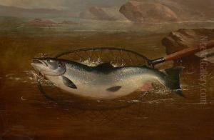 Netting A Grilse