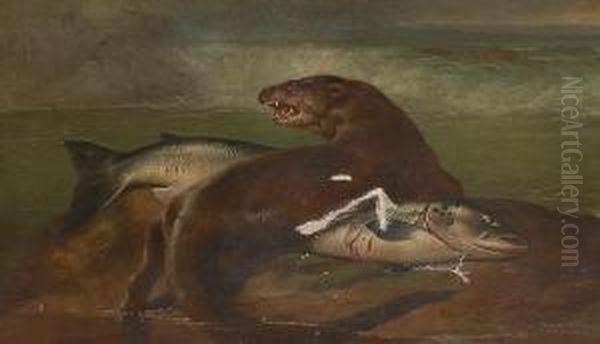An Otter With A Recently Caught Salmon - view 1