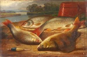 The Days Catch
