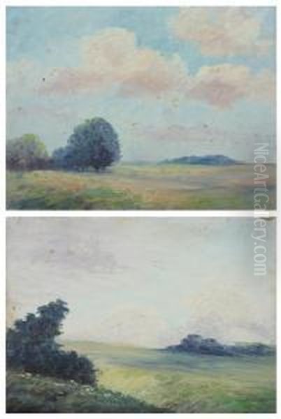 Blue Ridge Landscape - view 1