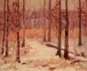 Winter Forest Winter Forest