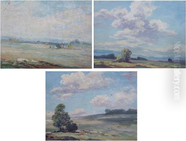 In The Virginia Countryside - view 1
