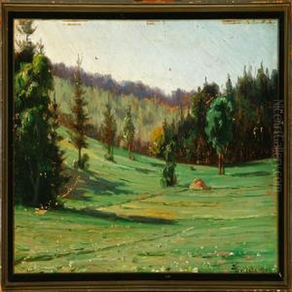 Spring Landscapewith Hill And Valley - view 1